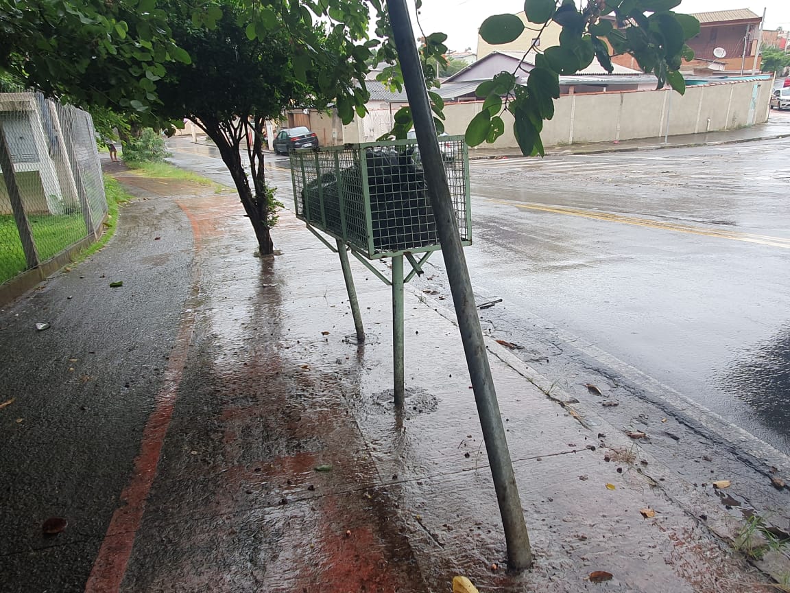 Campinas tem árvore e lixeira em pista de ciclovia