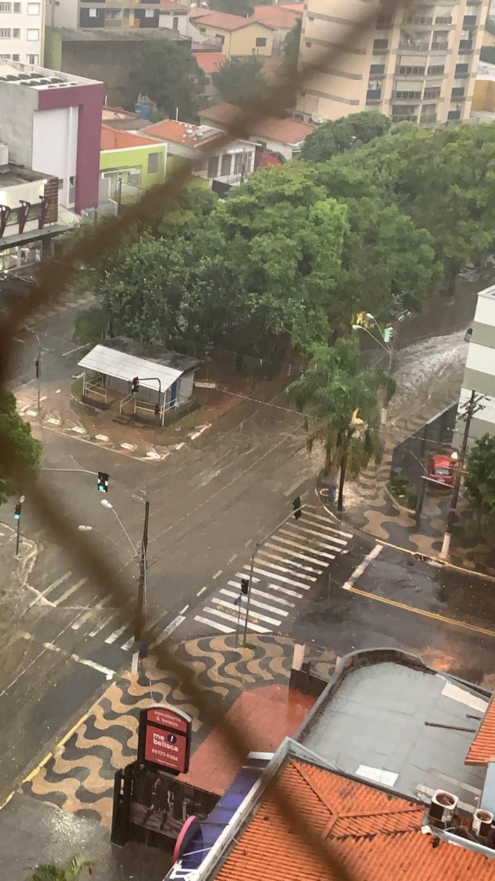 Chuva derruba árvores, alaga imóvel e vias de Campinas