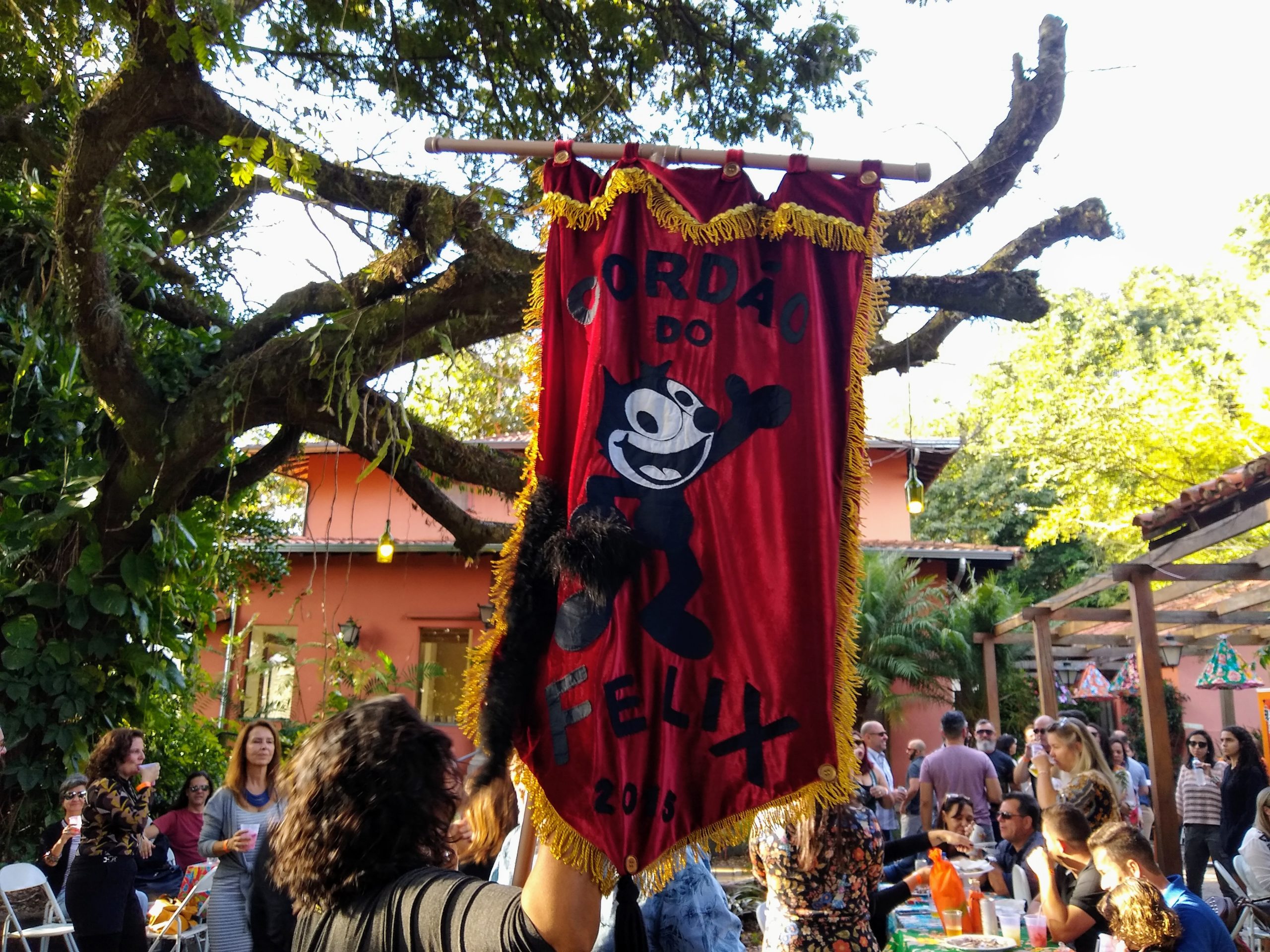Campinas tem blocos de pré-carnaval neste fim de semana