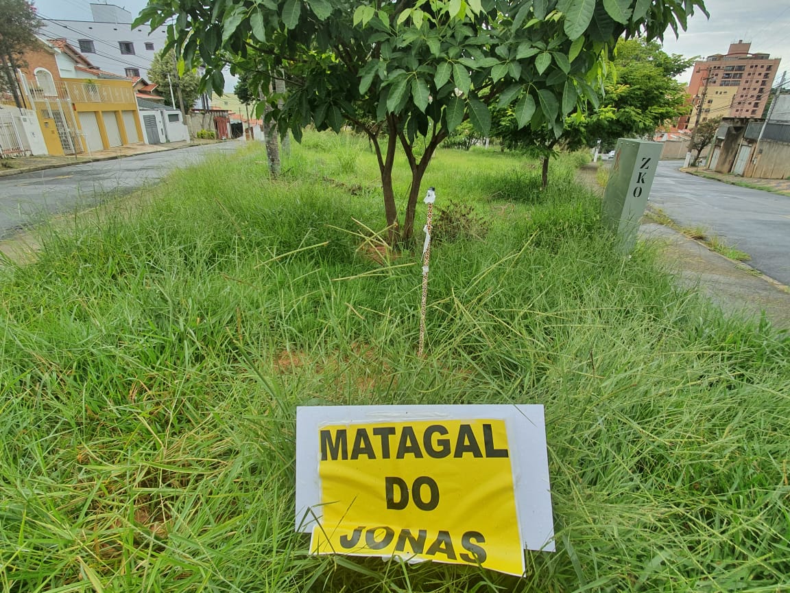 Mato Alto na cidade toda