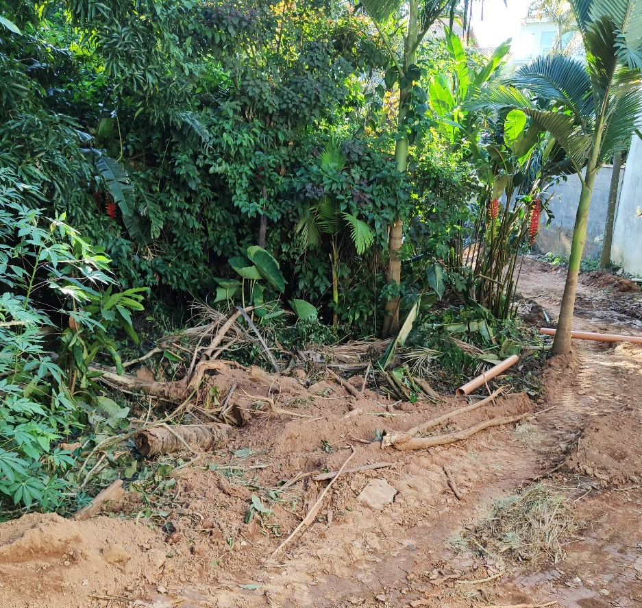 Grupo denuncia crime ambiental em obra da Sanasa