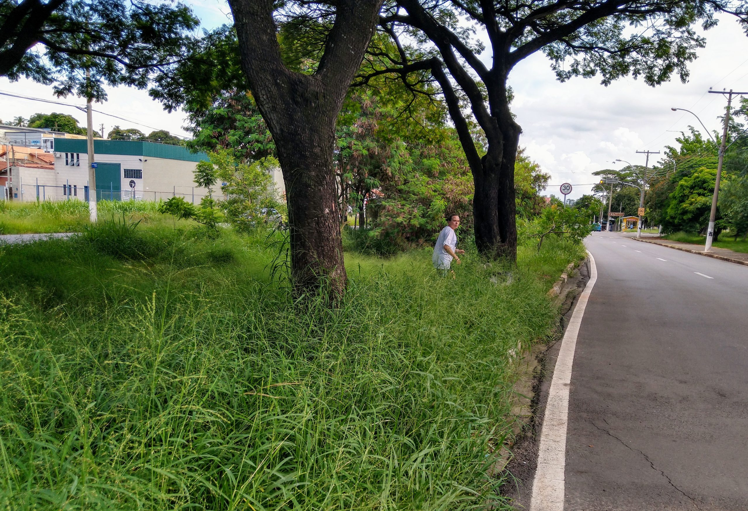 Secretário culpa clima por mato alto pela cidade
