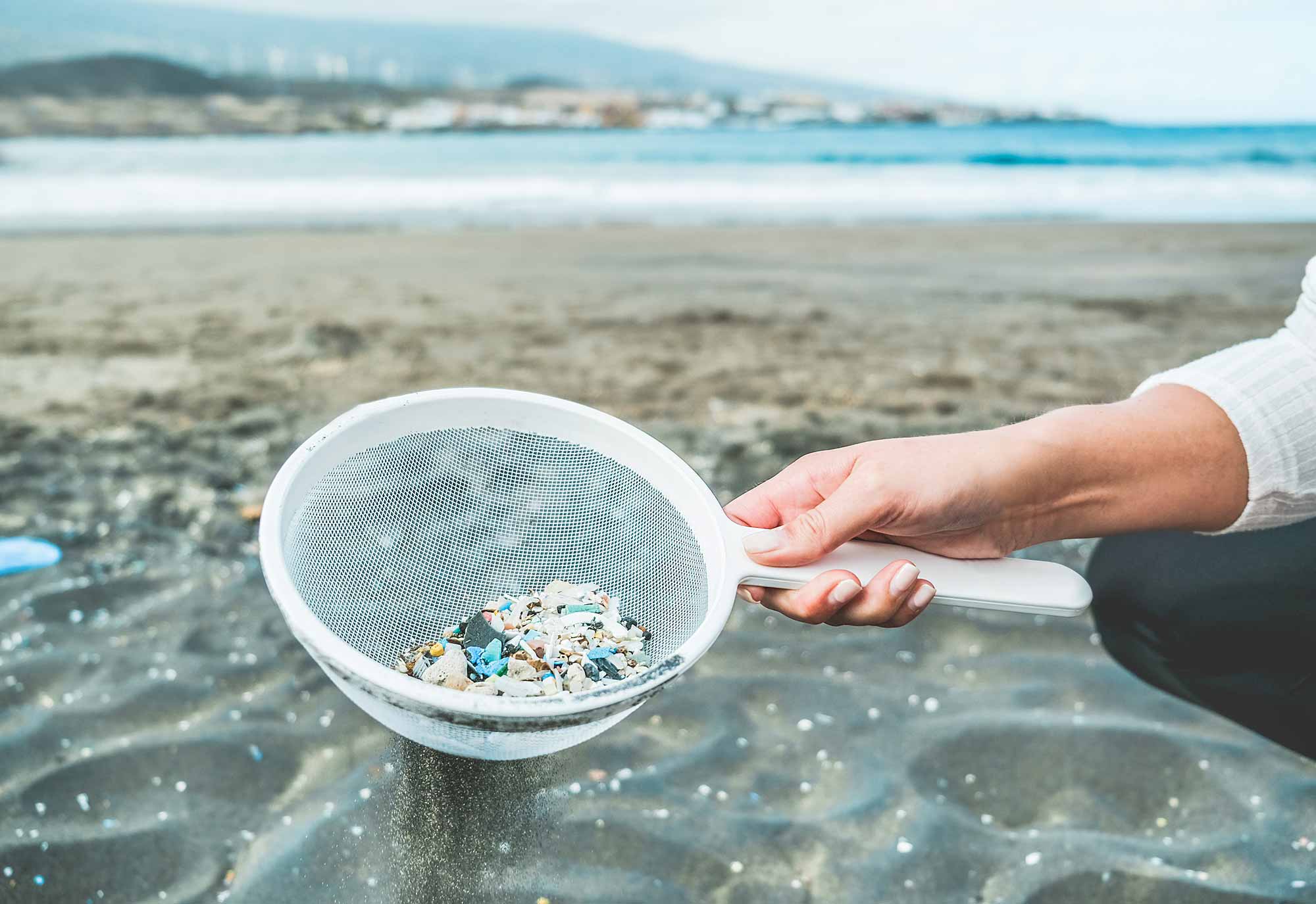 Equipamento transforma cascas de frutos do mar em plástico biodegradável