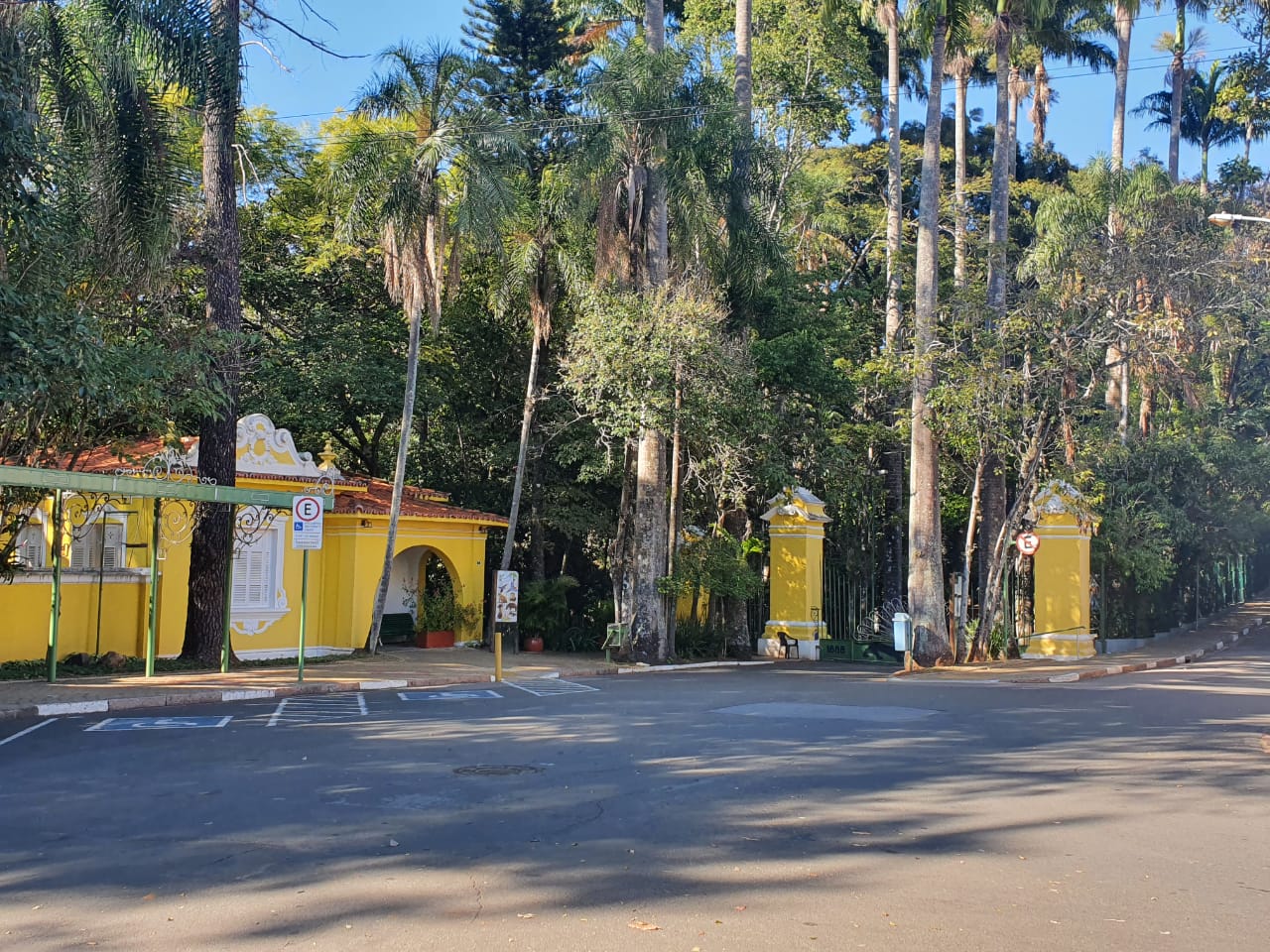 Bosque dos Jequitibás tem atividade de observação de aves