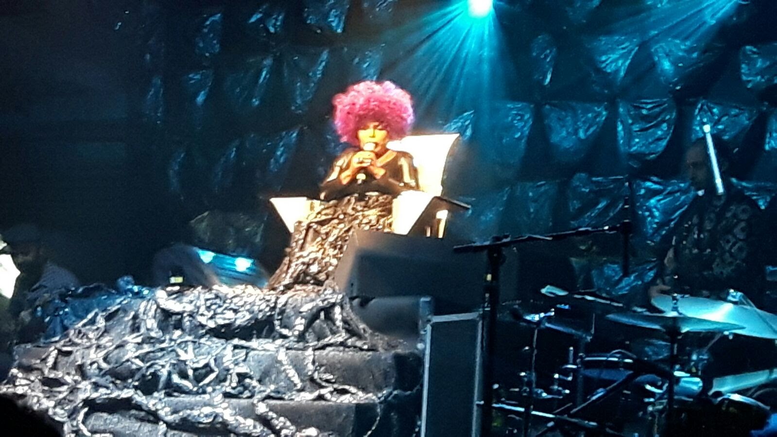 Elza Soares celebra 90 anos com show virtual