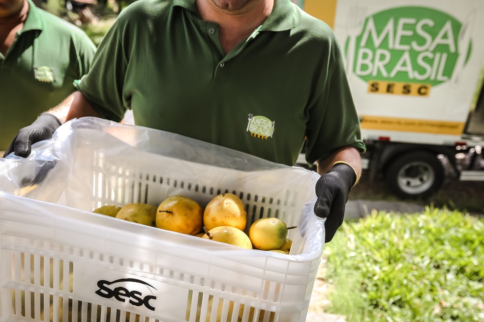 Programa Mesa Brasil promove campanha contra a fome