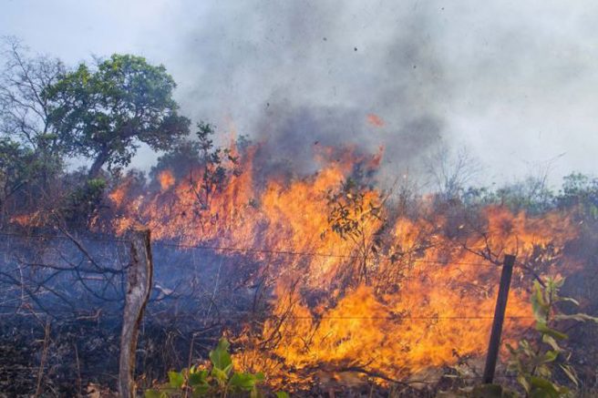 Defesa Civil emite alerta de máximo risco para incêndios na região de Campinas