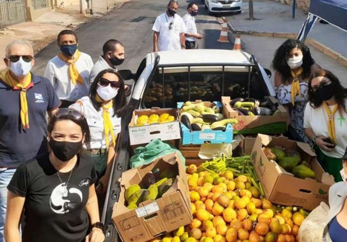 A Boa Notícia: grupo arrecada frutas para animais do Pantanal