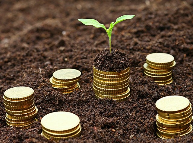 Agro tem trimestre positivo