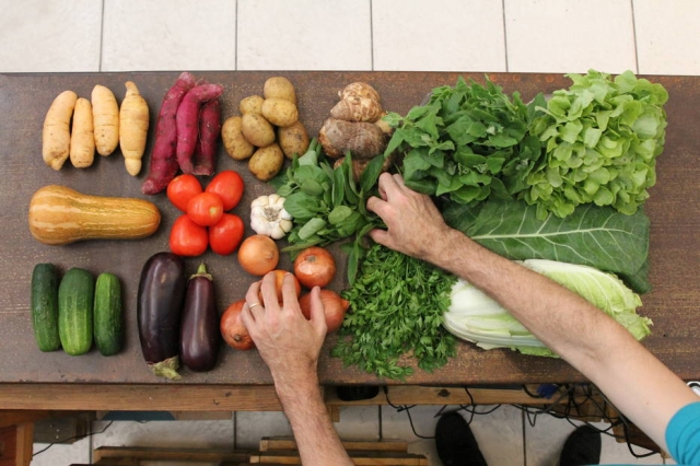 Alimentação adequada ajuda no combate à covid-19