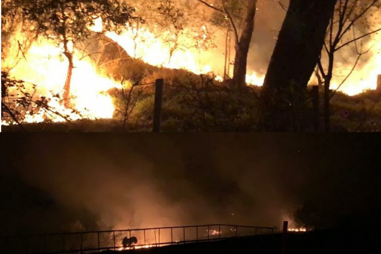 Raízen é multada por incêndio em mata de Capivari