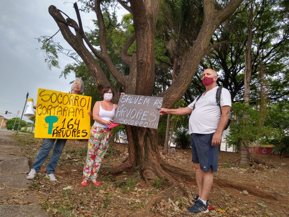 Vigília tenta evitar cortes de árvores no Piçarrão