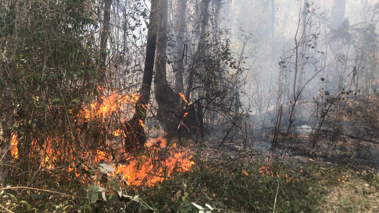 Incêndio já dura quase uma semana em Vinhedo