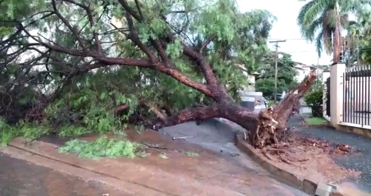Chuva provoca estragos em Campinas – veja o vídeo