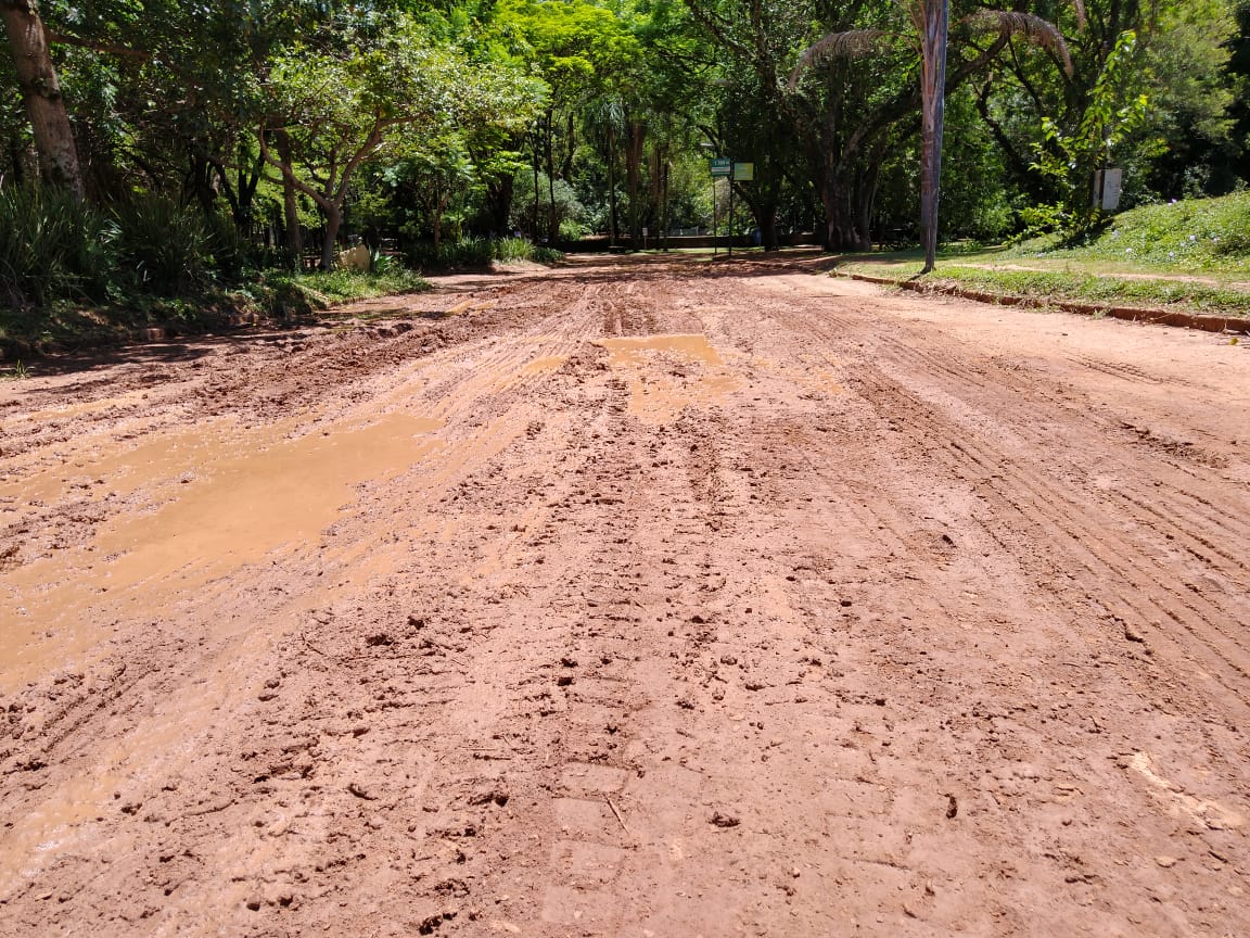 Frequentadores reclamam da lama em trecho da Lagoa do Taquaral