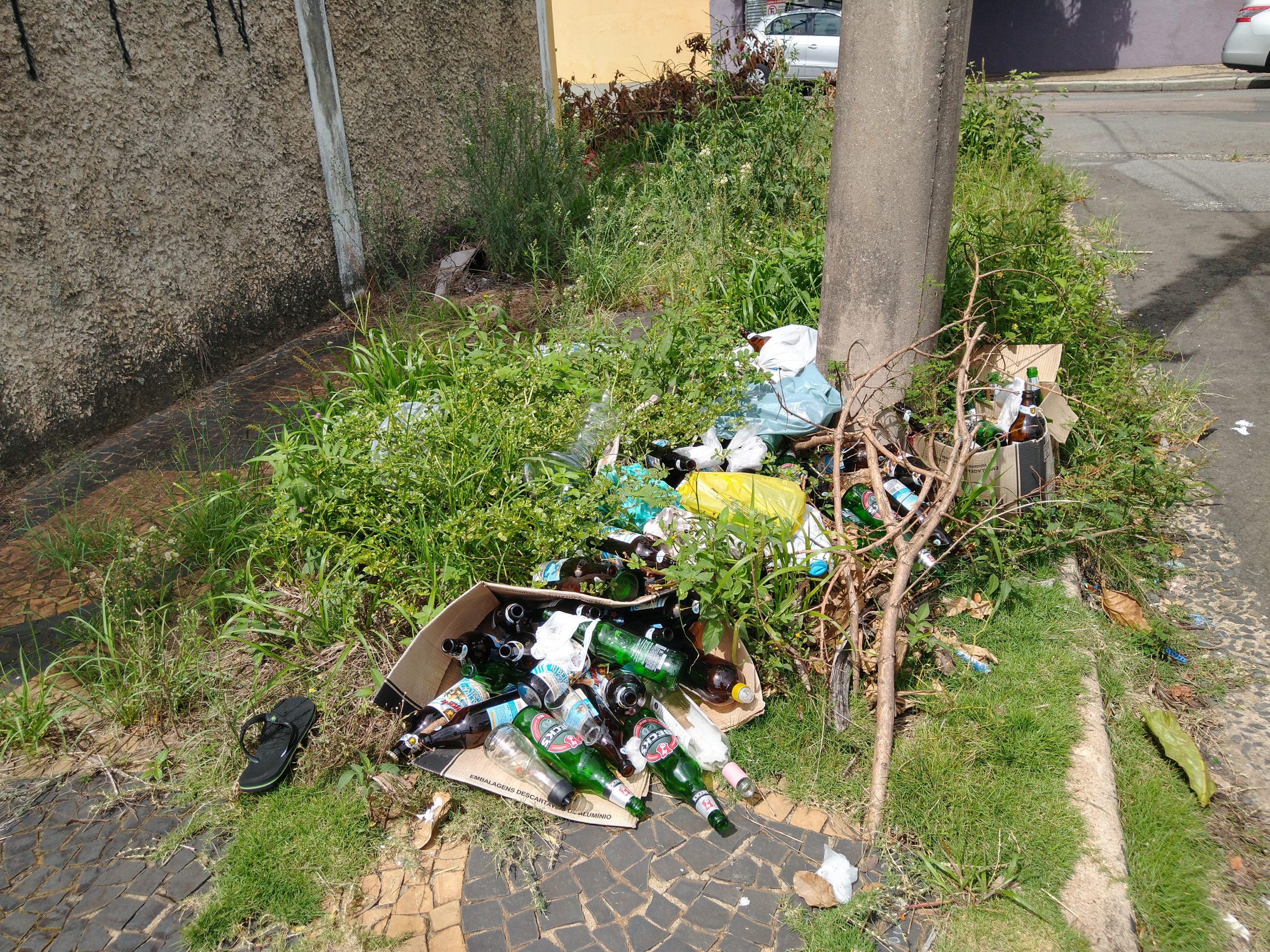 Área central não escapa do mato e lixo nas calçadas