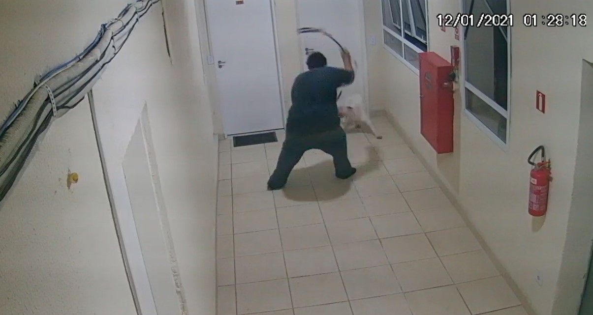 Homem é detido por agredir cachorro