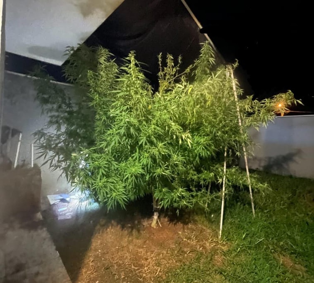 Dois são presos com 14 kg de maconha em Piracicaba