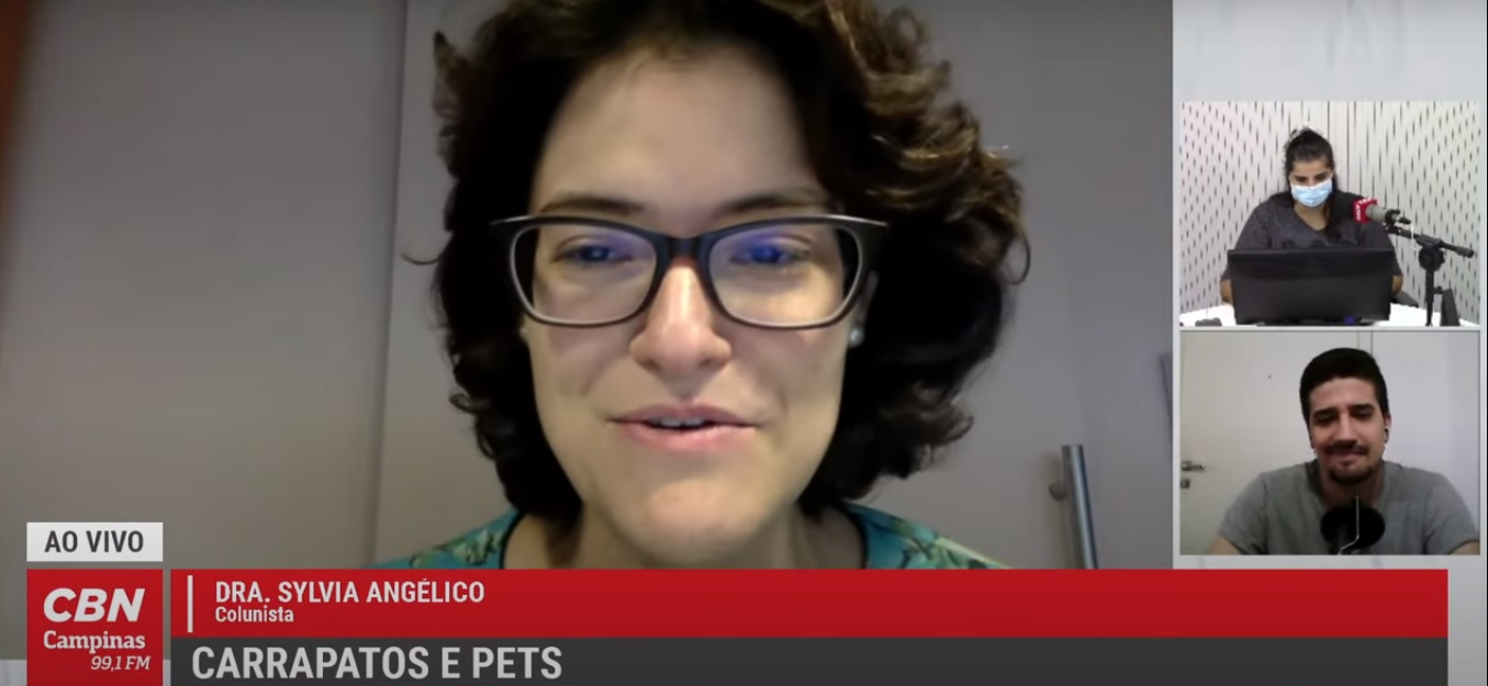 Vida Pet – Como evitar os carrapatos