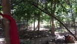 Moradores do Jardim Miriam fazem mutirão para retirar lixo de APP