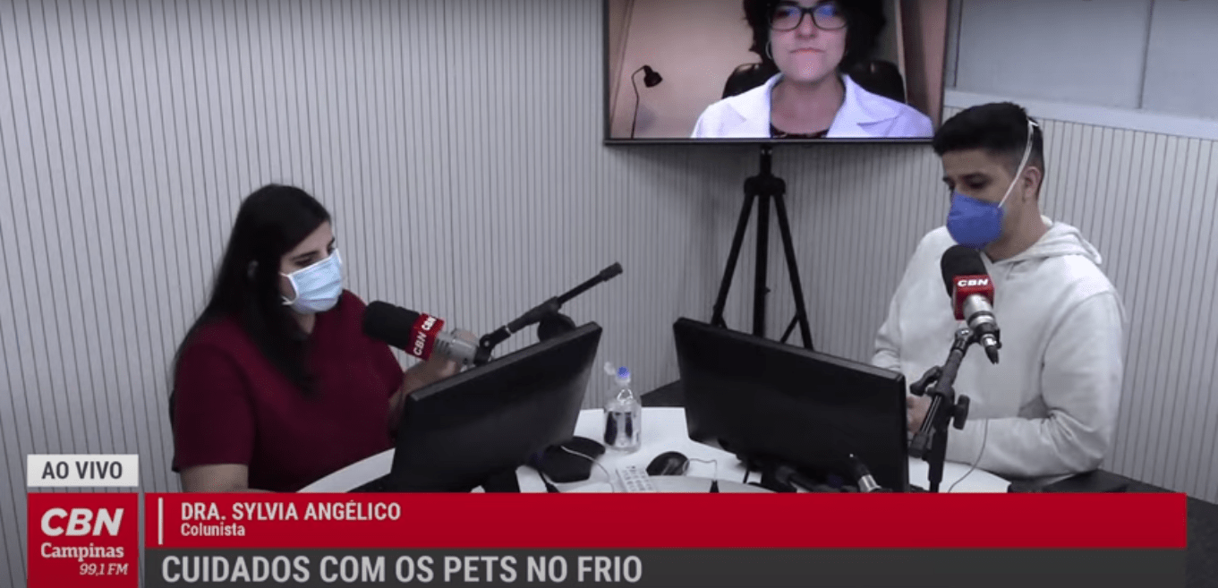 Vida Pet – Cuidados com os pets no frio