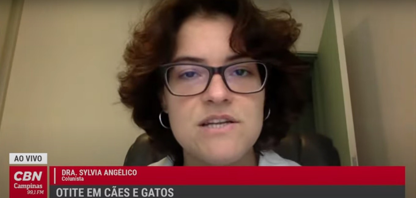 Vida Pet – Entenda melhor o que é a otite