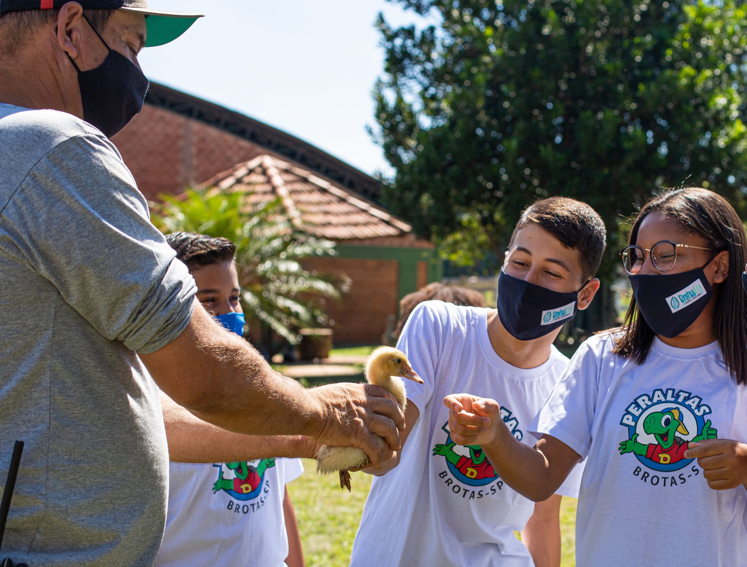 Acampamentos são alternativa para jovens e crianças