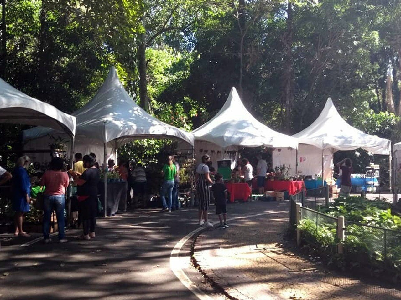 Bosque dos Jequitibás recebe a Feira de Doces e Artesanato