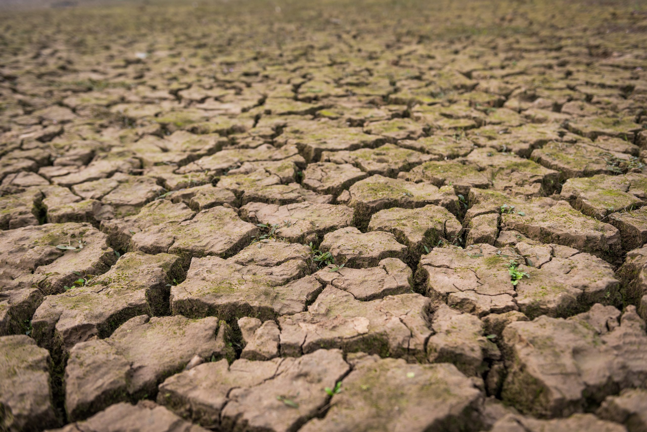 Aquecimento global exige medidas urgentes