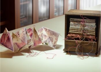 Pavão Cultural faz exposição sobre o universo da leitura