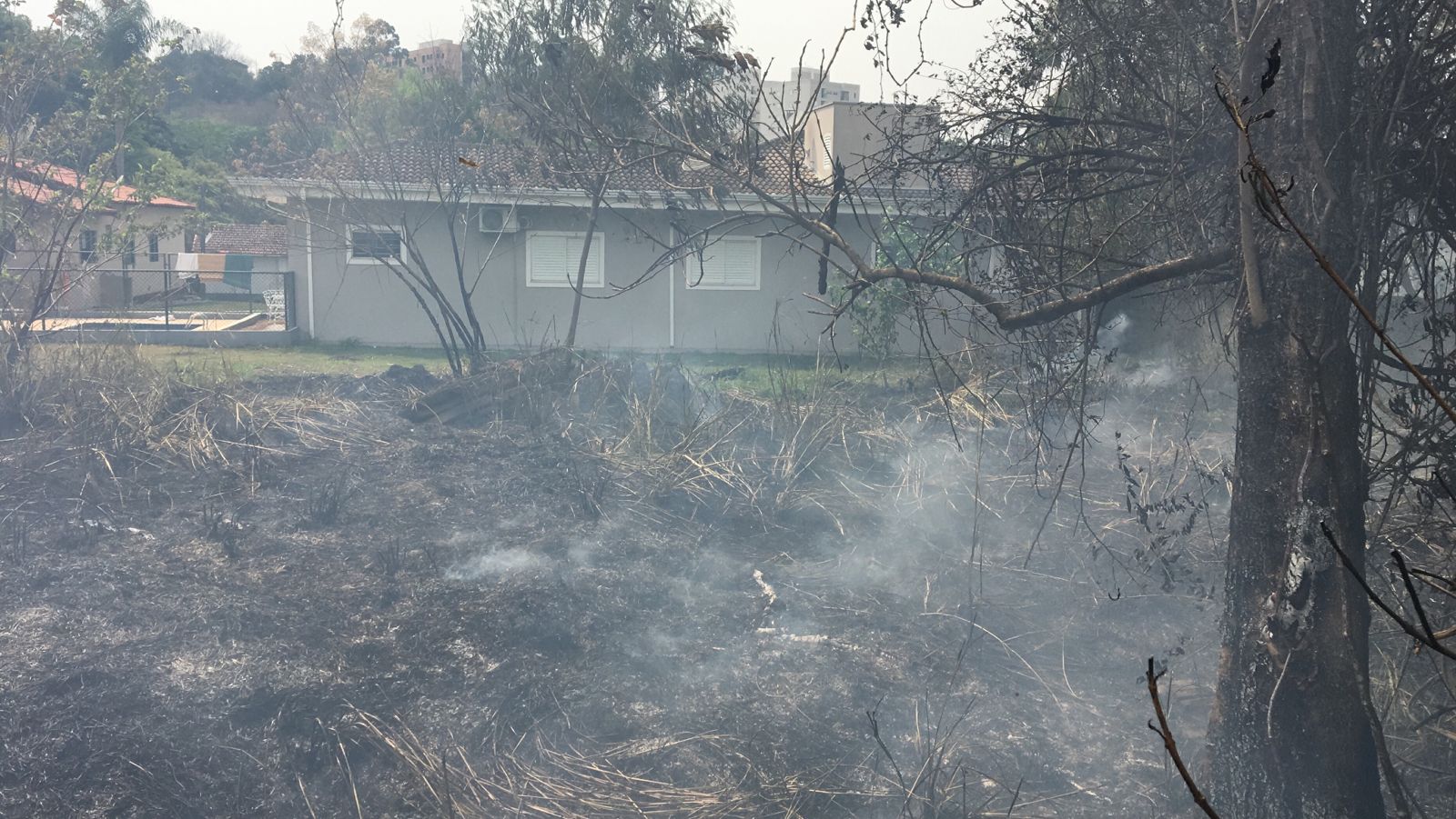 Bombeiros de Vinhedo combatem três incêndios em mata