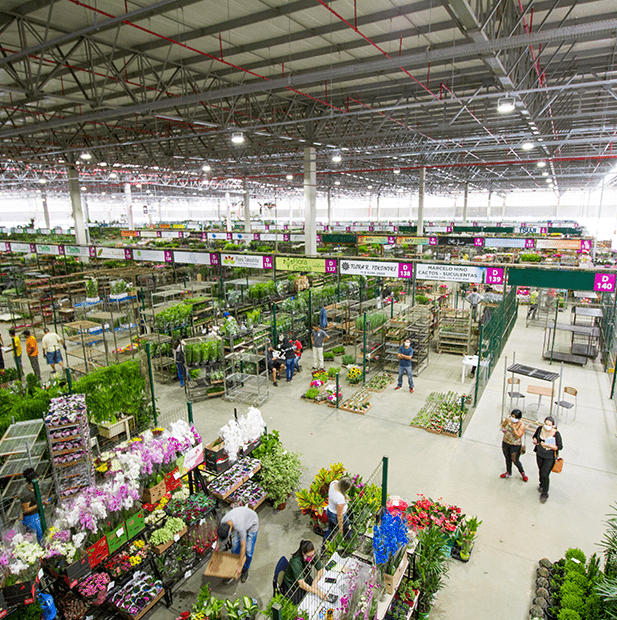 Volta dos eventos aquece mercado de flores