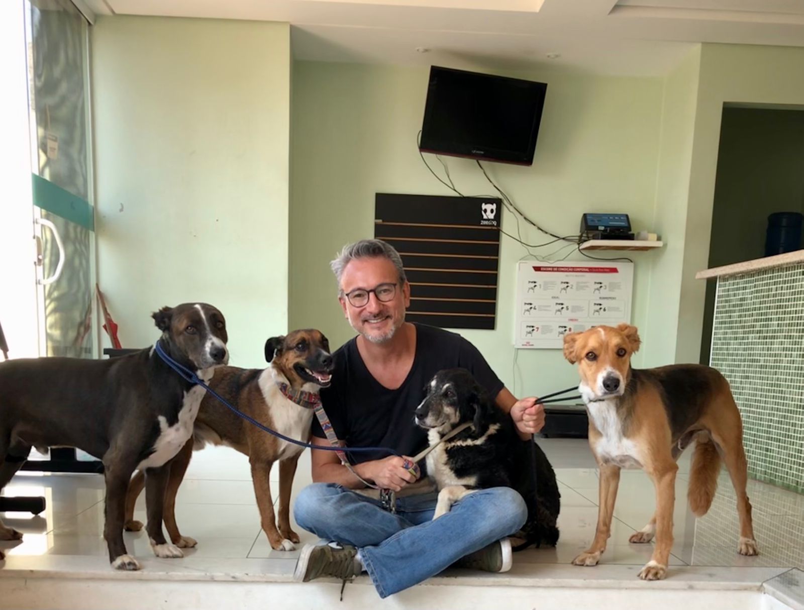 Cães que comeram salsicha com anzóis têm alta cirúrgica em Valinhos