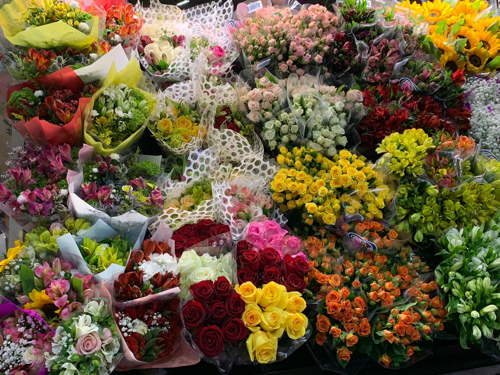 Feira de flores traz novidades do setor