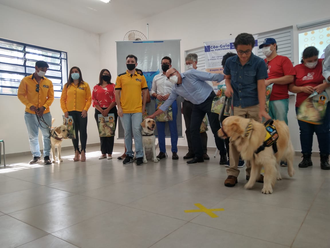 Campinas faz parceria com instituto para estimular uso de cão-guia