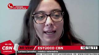 Os cuidados com os pets na hora de viajar
