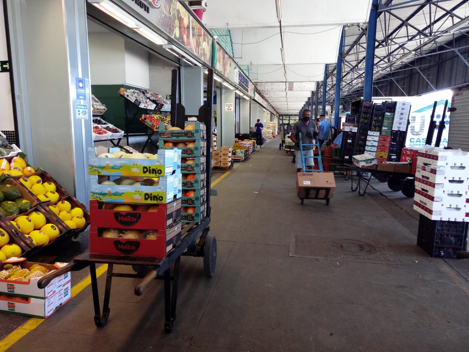 Período chuvoso faz disparar preços de hortifrutis na Ceasa Campinas
