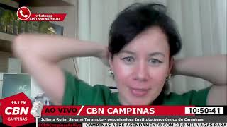 Pesquisa analisa os benefícios da farinha da mandioca