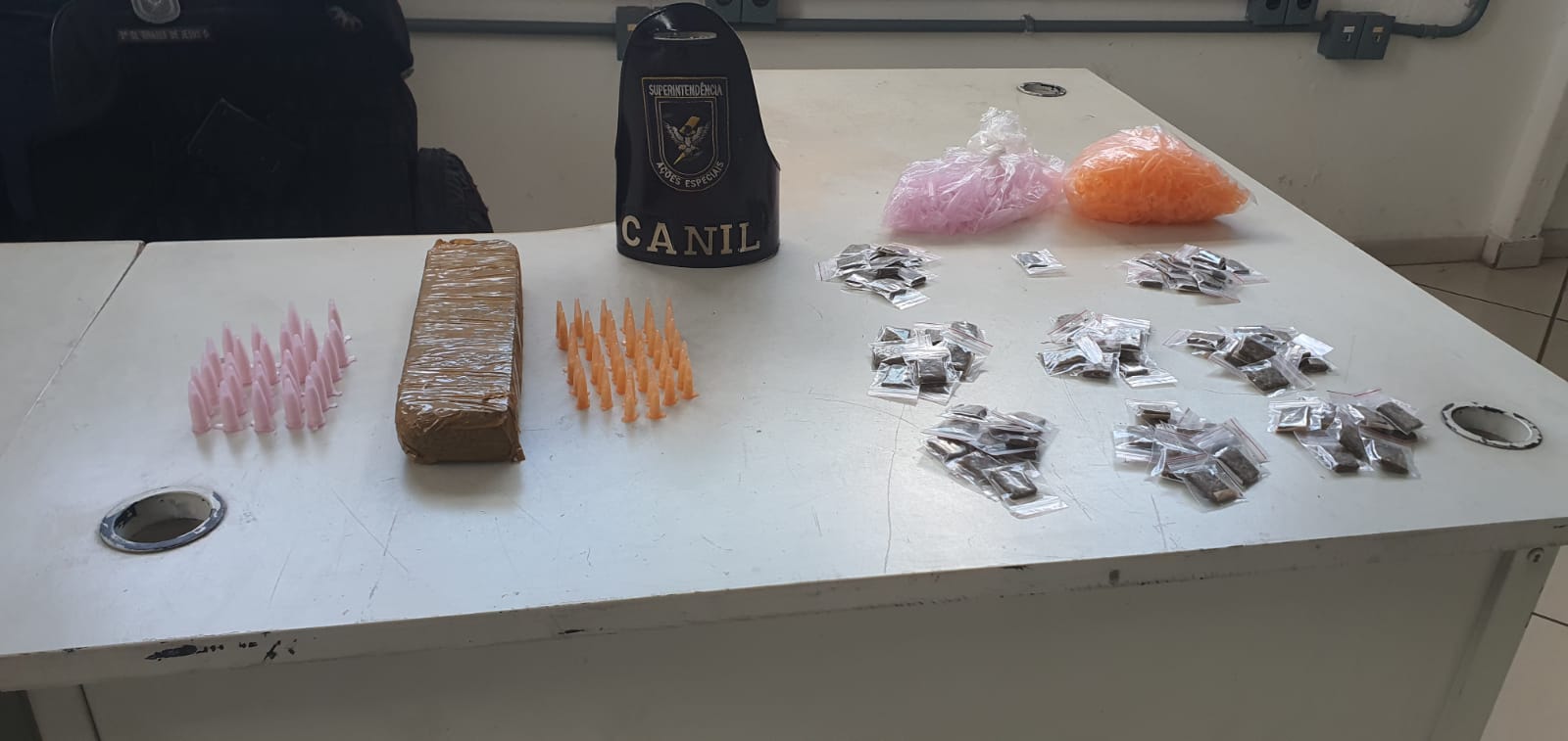 Cão da GM de Campinas ajuda em apreensão de entorpecentes