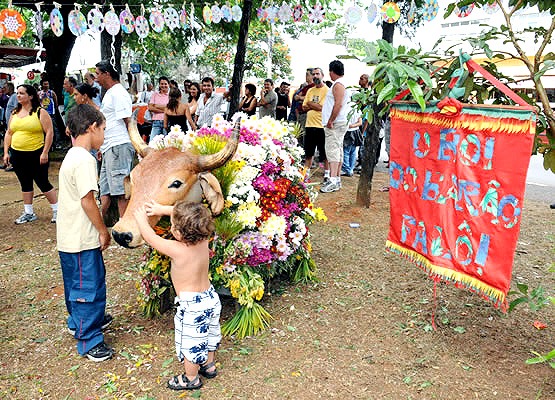 Festa do “Boi Falô” acontece nesta sexta em Barão Geraldo