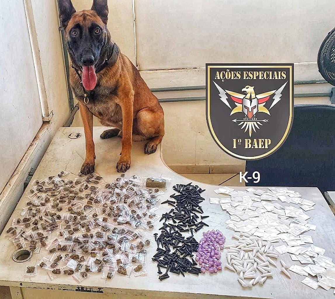 BAEP apreende mais de 700 porções de drogas no Jardim Bassoli