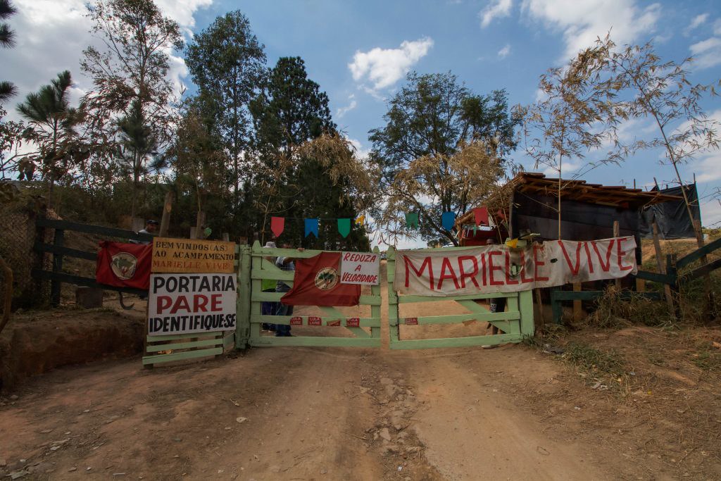 Marielle Vive