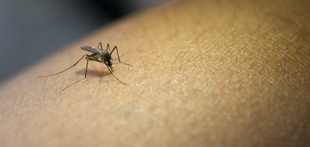 Piracicaba já se aproxima da pior epidemia de dengue desde 2000