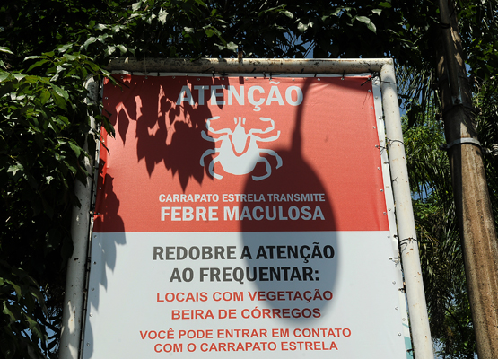 Sobe para 17 o número de casos de febre maculosa em 2023 em Campinas 