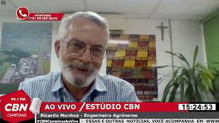 Produtos da Ceasa Campinas não são afetados pela inflação