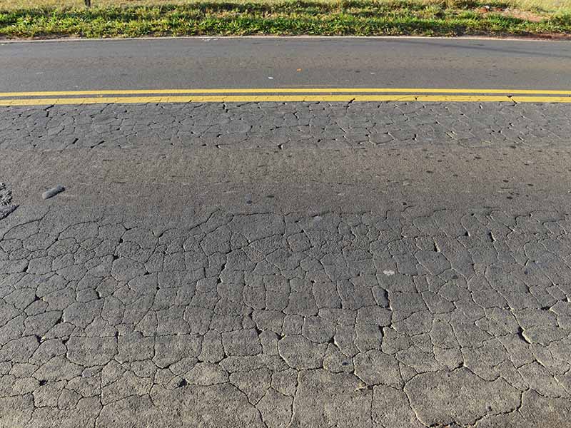 Avenida que passa pelo Bosque das Palmeiras vai ser recapeada