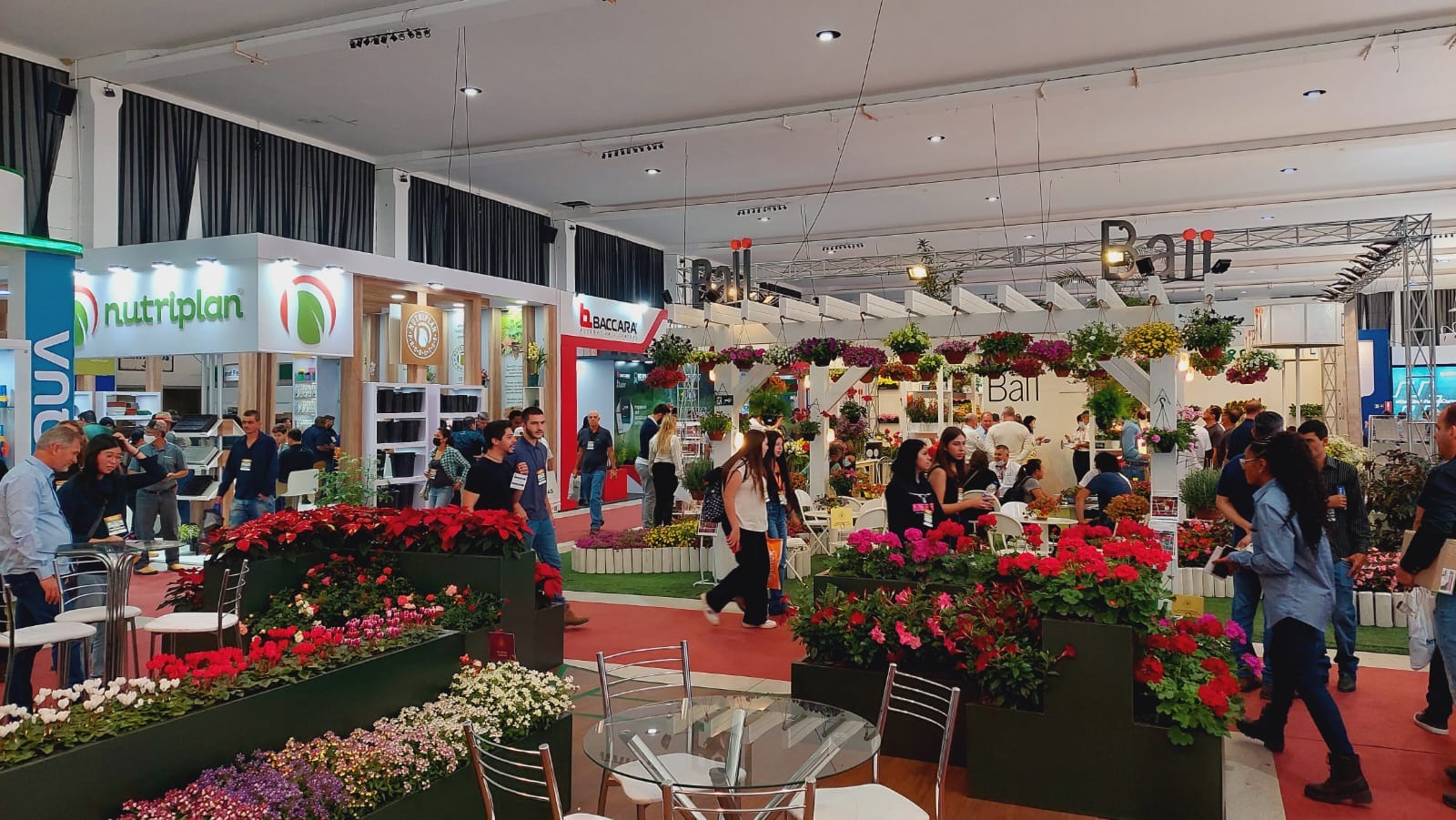 Hortitec volta a ser realizada em Holambra e reúne 470 empresas