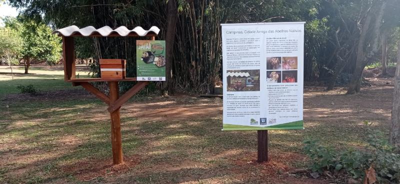 Colmeia artificial é instalada no Taquaral, em Campinas