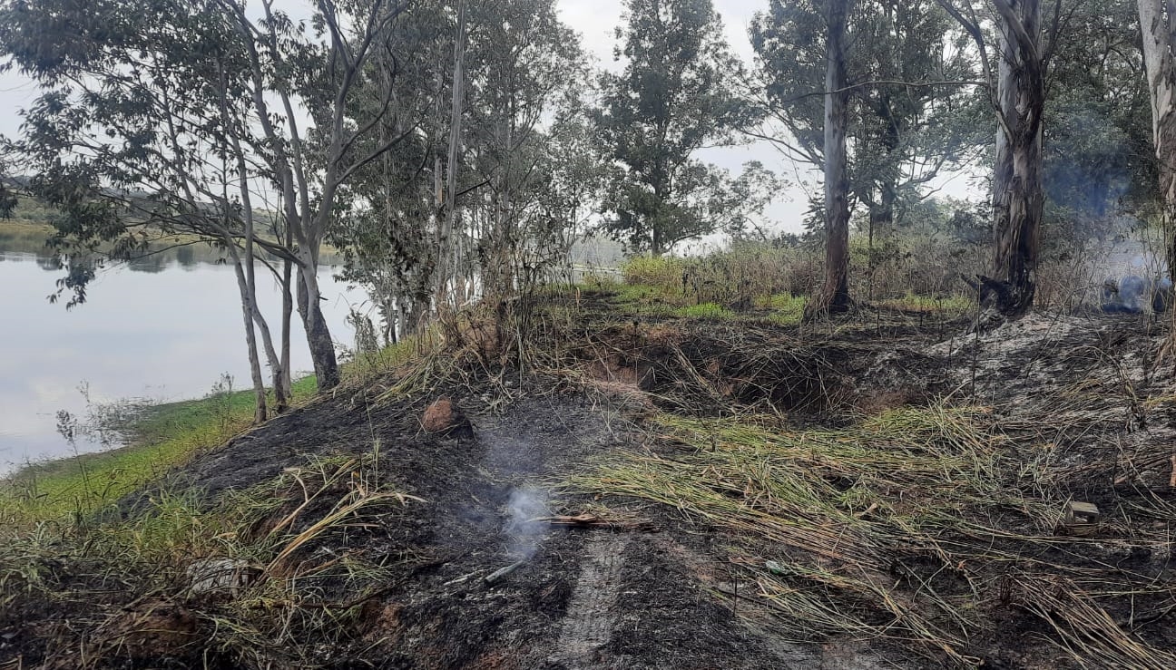 Quase 100 mil m² de mata foram destruídos por fogo em Sumaré