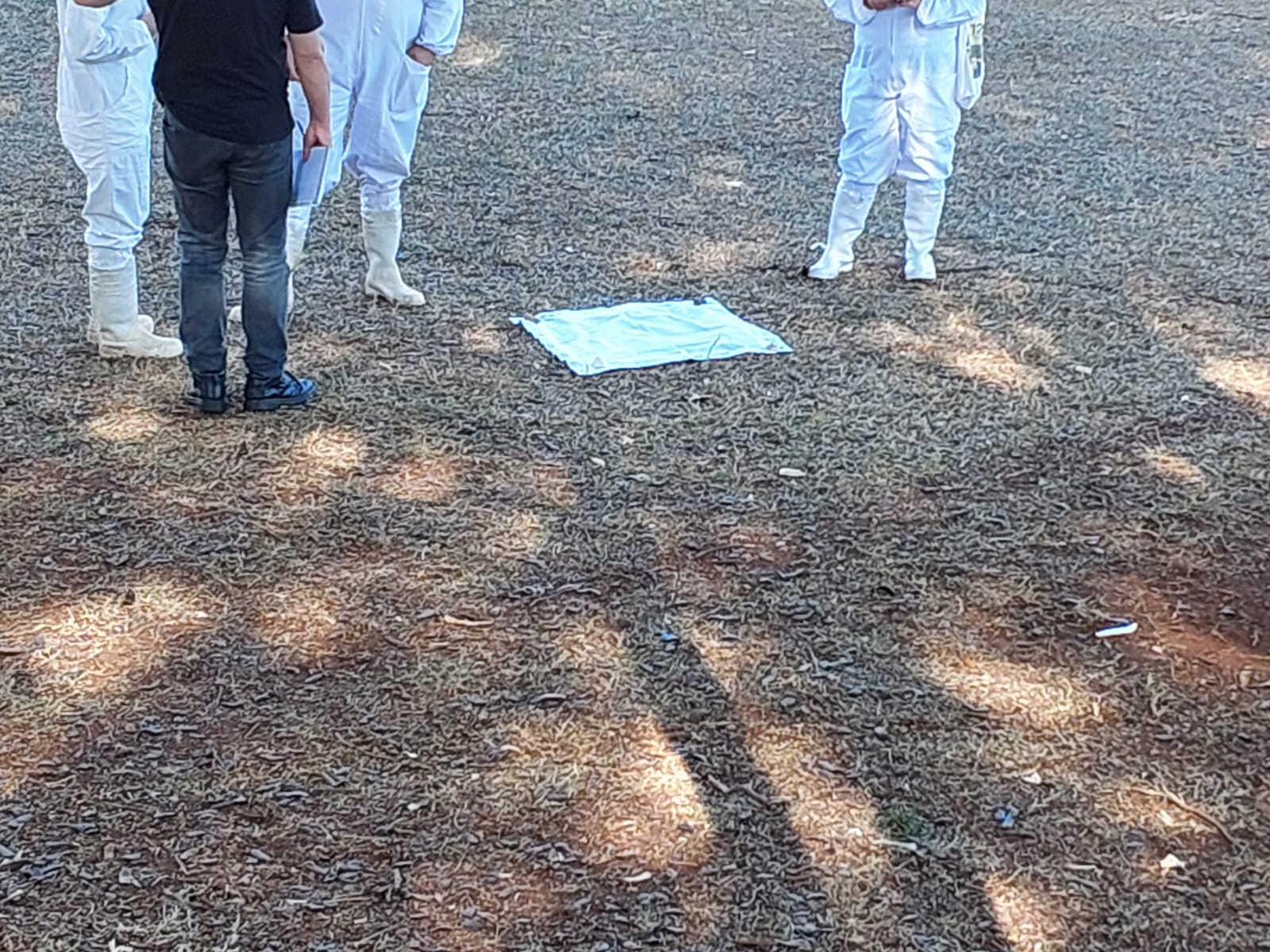 Vistoria é realizada em praça na Unicamp após morte por febre maculosa
